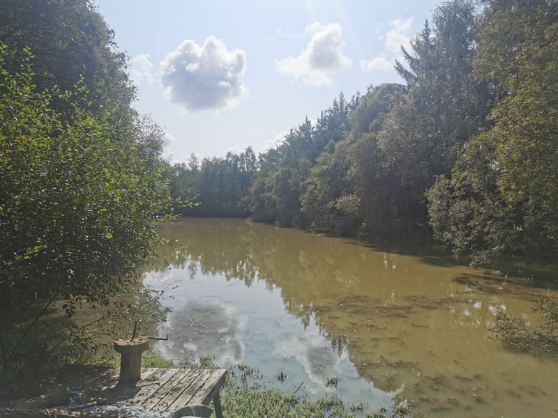Lacs à vendre à Langon, Ille-et-Vilaine - 108.900 € - photo 1
