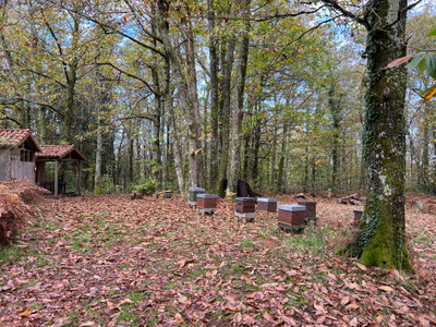 French property for sale in Mialet, Dordogne - €720,800 - photo 3