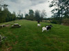 French property for sale in Fontaine-l'Abbé, Eure - €401,850 - thumbnail 9