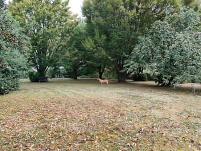 French property for sale in Marciac, Gers - €260,000 - photo 10