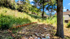 French property for sale in Saint-Pons-de-Thomières, Hérault - €168,000 - thumbnail 14