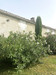 French property for sale in Lignières-Sonneville, Charente - €183,600 - thumbnail 14