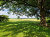French property for sale in Marthon, Charente - €176,000 - thumbnail 9