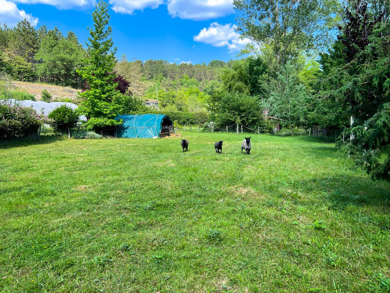 French property for sale in Le Bugue, Dordogne - €223,000 - photo 2