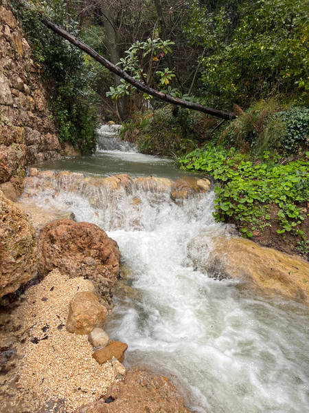 French property for sale in Vence, Alpes-Maritimes - €1,995,000 - photo 4