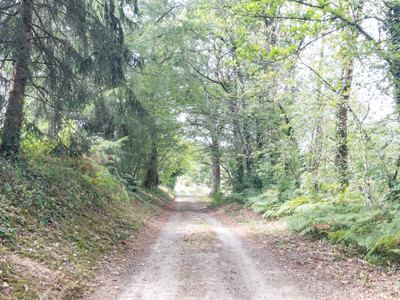 French property for sale in Chéronnac, Haute-Vienne - €299,600 - photo 2