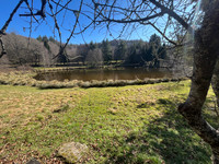 Lacs à vendre à Domps, Haute-Vienne - 56.600 € - photo 3