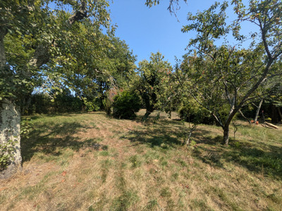 French property for sale in Les Châteliers, Deux-Sèvres - €46,600 - photo 9