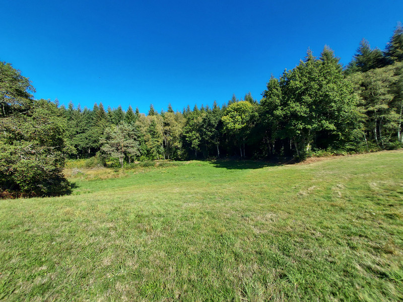 French property for sale in Neuvic, Corrèze - photo 10