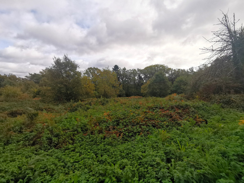 French property for sale in La Gacilly, Morbihan - €50,000 - photo 10