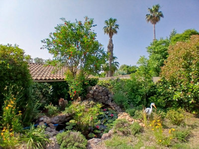 French property for sale in Saint-Vincent-de-Barbeyrargues, Hérault - €740,000 - photo 2