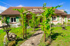French property for sale in Cour-Cheverny, Loir-et-Cher - €349,800 - thumbnail 9
