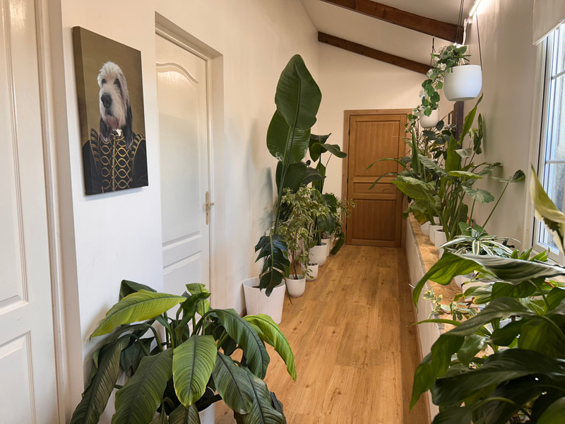 French property for sale in Châtignac, Charente - €498,750 - photo 5