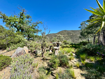 French property for sale in Vinça, Pyrénées-Orientales - €729,000 - photo 7