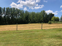 Propriété à vendre à Boresse-et-Martron, Charente-Maritime - 253 000 € - photo n°10