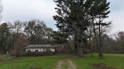 French property for sale in Pressignac-Vicq, Dordogne - €430,500 - photo 2