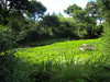 French property for sale in Louargat, Côtes-d'Armor - €230,000 - thumbnail 9