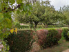 French property for sale in Sainte-Sévère-sur-Indre, Indre - €74,800 - thumbnail 9