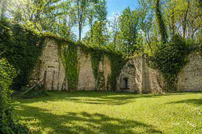 French property for sale in Parçay-sur-Vienne, Indre-et-Loire - €650,000 - photo 5