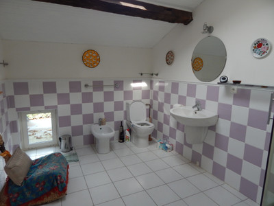 French property for sale in Le Temple-sur-Lot, Lot-et-Garonne - €591,000 - photo 10