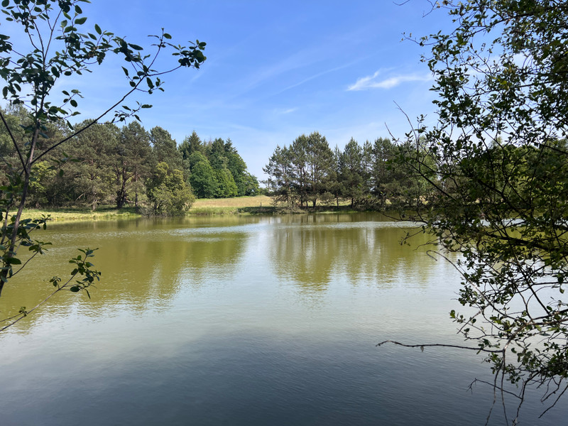 Lake for sale in Pensol HauteVienne A beautiful lake hidden away