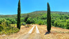 French property for sale in La Livinière, Hérault - €249,000 - thumbnail 14