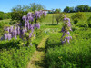French property for sale in Maxou, Lot - €230,000 - thumbnail 11