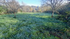 French property for sale in Savignac, Aveyron - €25,000 - thumbnail 3