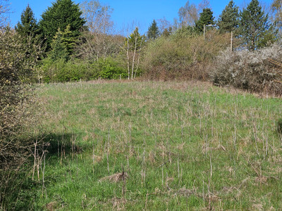 French property for sale in Touquettes, Orne - €30,000 - photo 5