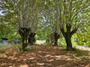 French property for sale in Pageas, Haute-Vienne - €693,000 - thumbnail 9