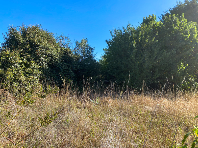 French property for sale in Ventouse, Charente - €19,600 - photo 1