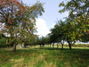 French property for sale in Saint-Pierre-des-Nids, Mayenne - €130,900 - thumbnail 9