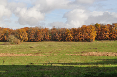French property for sale in Champeaux-et-la-Chapelle-Pommier, Dordogne - €371,000 - photo 6