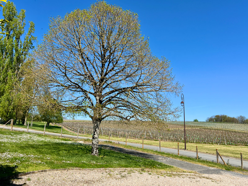 French property for sale in Singleyrac, Dordogne - €167,400 - photo 4