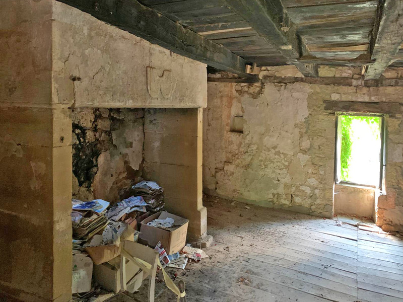 French property for sale in Badefols-d'Ans, Dordogne - €50,000 - photo 4