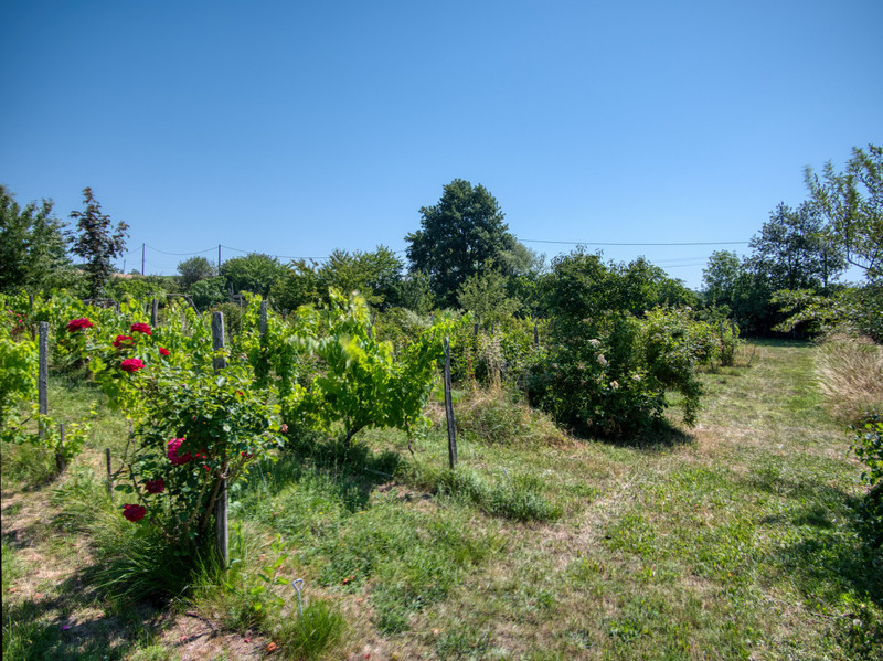French property for sale in Saussignac, Dordogne - €498,000 - photo 1
