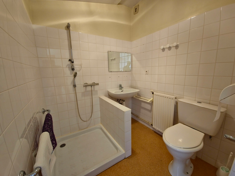 French property for sale in Chaillé-les-Marais, Vendée - €939,000 - photo 7