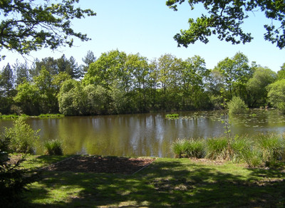 French property for sale in Les Brulais, Ille-et-Vilaine - €475,000 - photo 7