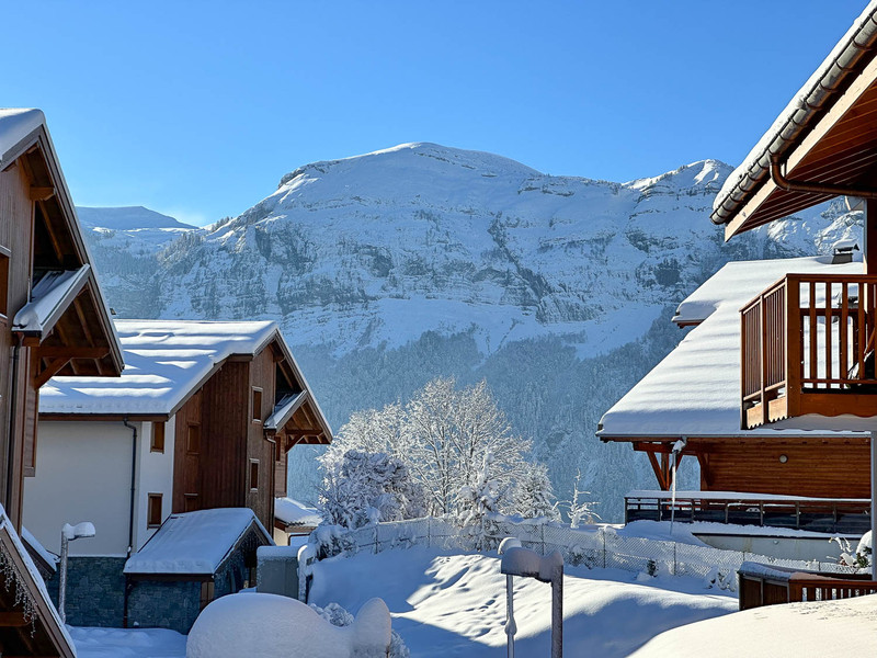 Ski property for sale in Les Carroz - €594,500 - photo 1