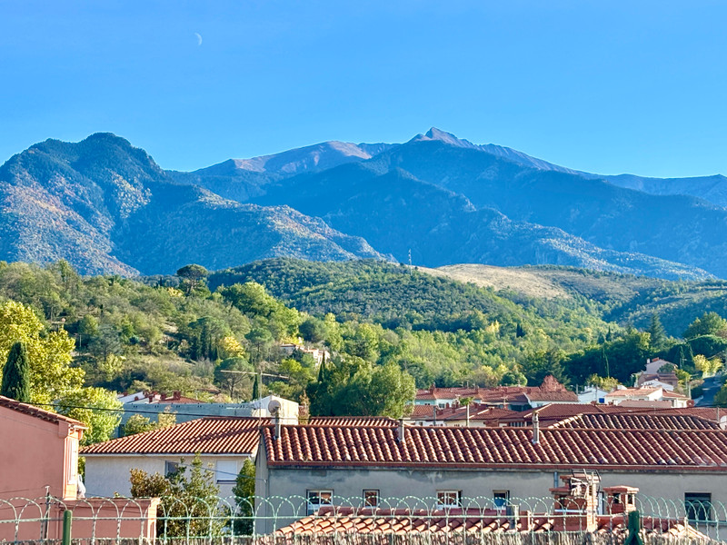 French property for sale in Prades, Pyrénées-Orientales - €75,000 - photo 4