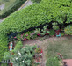 French property for sale in Antibes, Alpes-Maritimes - €614,800 - thumbnail 13