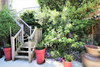 French property for sale in Rochechouart, Haute-Vienne - €249,500 - thumbnail 14