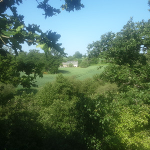 French property for sale in Jugon-les-Lacs - Commune nouvelle, Côtes-d'Armor - €189,000 - photo 2