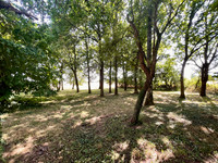 Propriété à vendre à Saint-Aubin-du-Désert, Mayenne - 136 250 € - photo n°9
