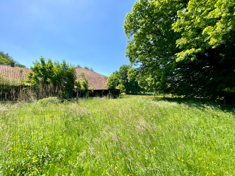 French property for sale in Massignac, Charente - €26,600 - photo 6