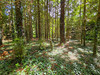 French property for sale in Le Quillio, Cotes_d_Armor - €50,000 - thumbnail 9