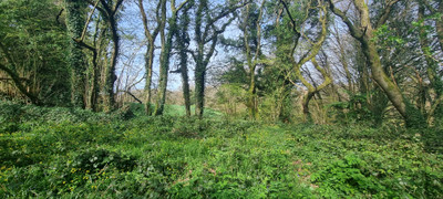 French property for sale in Botsorhel, Finistère - €153,000 - photo 9