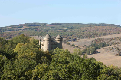 chateau for sale in Aveyron