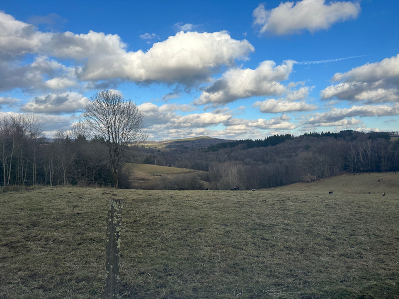 French property for sale in Saint-Priest-les-Fougères, Dordogne - €171,000 - photo 9