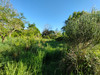 French property for sale in Lussac-les-Églises, Haute-Vienne - €23,000 - thumbnail 9